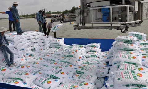 Xuất khẩu phân bón cán mốc hơn 1 tỷ USD trong năm 2022