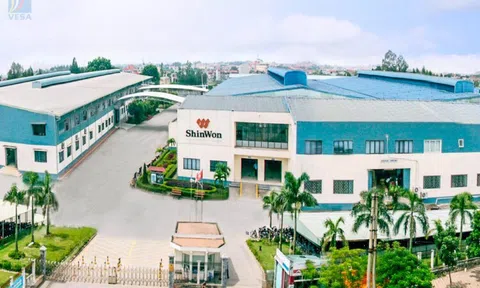 Vĩnh Phúc: Công Ty TNHH Shinwon Ebenezer Việt Nam xả thải chưa qua xử lý ra môi trường