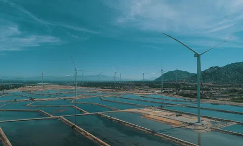 ADB và Điện gió BIM tài trợ 107 triệu USD hỗ trợ năng lượng gió tại Việt Nam