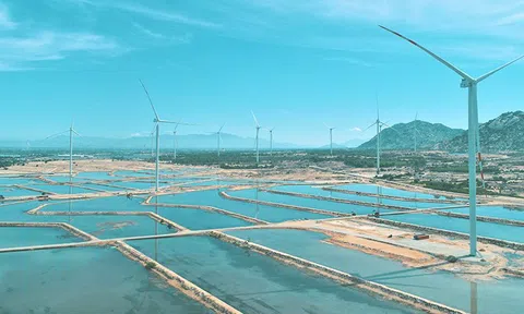 JICA ký kết hợp đồng tín dụng cho dự án điện gió tại tỉnh Ninh Thuận