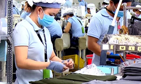 Nhận diện khó khăn pháp lý giúp doanh nghiệp phục hồi và phát triển