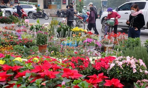 Hà Nội: Phân luồng giao thông phục vụ chợ hoa Tết Nguyên đán 2023