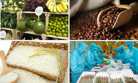 Những quy định doanh nghiệp cần lưu ý để đạt được hiệu quả cao từ EVFTA