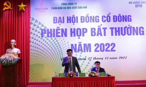 DPM chốt thông qua mức chia cổ tức năm 2022