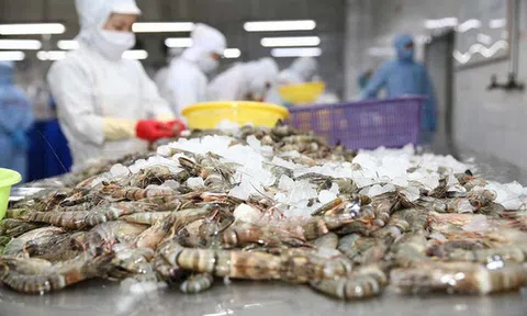 Phát triển bền vững ngành thủy sản từ 3 trụ cột nuôi trồng, khai thác, bảo tồn