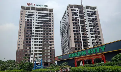 Tập đoàn Tiến Bộ có trách nhiệm giải quyết hậu quả vụ nhân viên tham ô 17 tỷ đồng của khách hàng