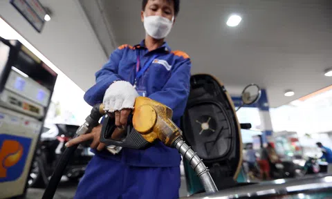 Mỗi lít xăng chịu 2.000 đồng thuế bảo vệ môi trường từ ngày 1/1/2023