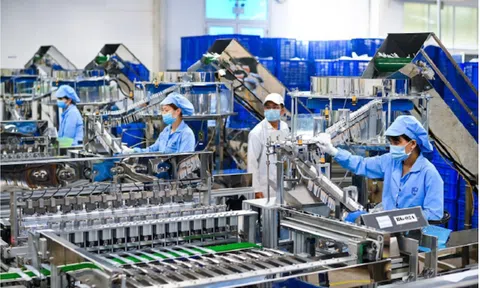 Năm 2022, Việt Nam đầu tư gần 534 triệu USD ra nước ngoài