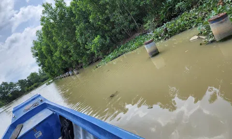 Đồng Nai: Người dân ven rạch Ông Kèo kêu cứu khẩn cấp