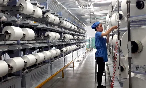 Bộ Công Thương rà soát việc áp dụng biện pháp chống bán phá giá sợi dài làm từ polyester