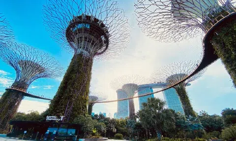 Ngành Kiến trúc châu Á có tầm ảnh hưởng mạnh mẽ trên thế giới