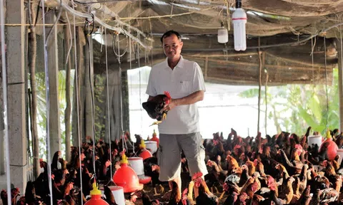 Cần nâng cao hiệu quả từ chăn nuôi theo hướng hữu cơ, hướng đi bền vững