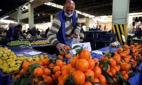 Ngân hàng Thế giới hạ dự báo tăng trưởng kinh tế toàn cầu năm 2023