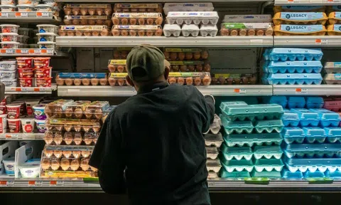 Dịch cúm gia cầm kéo dài, giá trứng tại Mỹ tăng cao kỷ lục