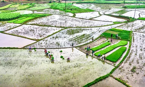 Đảm bảo lấy đủ nước cho các địa phương gieo cấy vụ Đông Xuân 2023