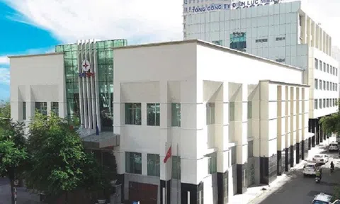 Tổng Công ty Điện lực miền Nam vượt khó, hoàn thành nhiều nhiệm vụ quan trọng năm 2022