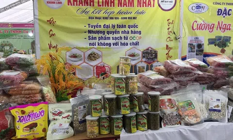 Hội chợ Xuân Quý Mão năm 2023: Nơi hội tụ hương vị Xuân đất Việt