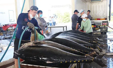 Hướng đến mục tiêu phát triển kinh tế biển bền vững