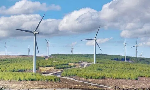 Cần có định hướng chính sách ổn định để phát triển năng lượng tái tạo