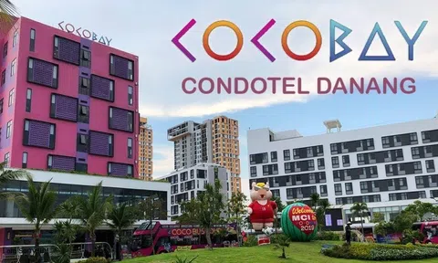 Thua kiện, Thành Đô phải thanh toán cho Xây dựng Hòa Bình 368 tỷ đồng