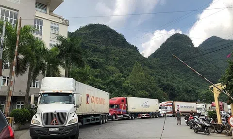 Tạm dừng thông quan hàng hoá tại nhiều cửa khẩu dịp Tết