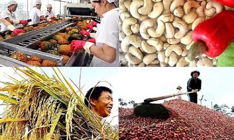 Trao đổi thương mại với khu vực châu Mỹ khởi sắc bất chấp những biến động phức tạp của thị trường