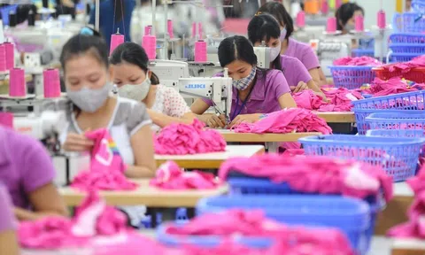 Nhiều tín hiệu tích cực về thị trường lao động những ngày đầu năm