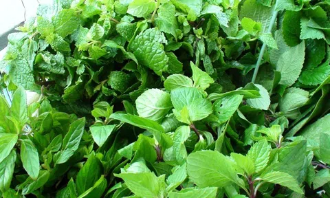 Liên minh châu Âu gỡ bỏ kiểm soát một số mặt hàng rau gia vị của Việt Nam