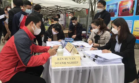 Hà Nội: Tổ chức 55 phiên giao dịch việc làm trong quý I/2023