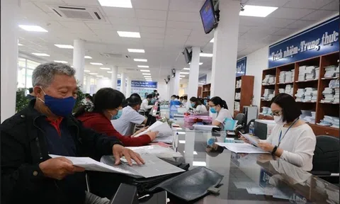 Viên chức ngành nào tiếp theo được bỏ chứng chỉ ngoại ngữ, tin học