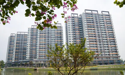 Chuyên gia dự báo gì về thị trường bất động sản năm 2023?