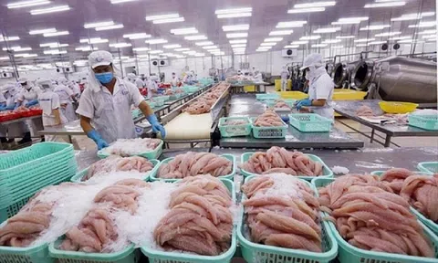 Xuất khẩu thủy sản tháng 1/2023 tiếp đà giảm sâu