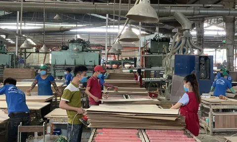 Bình Định: Doanh nghiệp tìm hướng đi mới trước khó khăn của thị trường