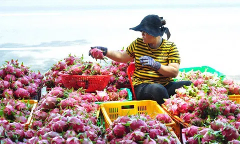 9 giải pháp đột phá phát triển nông nghiệp năm 2023