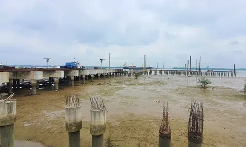 Công trình Tổng kho dự trữ 450.000 m3 xăng dầu tại TP.HCM tiếp tục gửi đơn kêu cứu