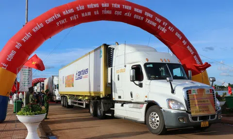 Cần chuẩn hóa vùng canh tác để thuận lợi xuất khẩu chính ngạch sang thị trường Trung Quốc