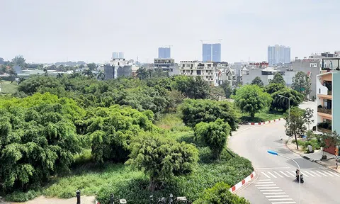 HoREA kiến nghị tái cơ cấu khoản nợ vay và vay vốn tín dụng mới đối với doanh nghiệp bất động sản