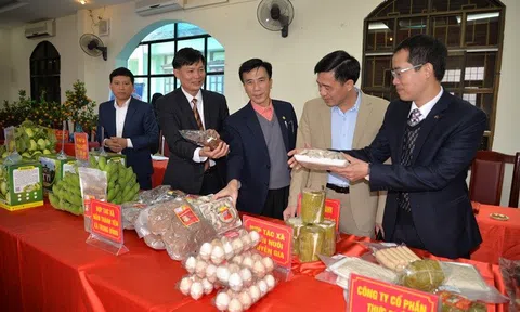 Phát triển sản phẩm OCOP gắn với xây dựng nông thôn mới