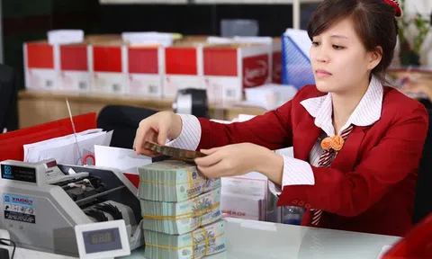 Ngành nào đang hưởng mức lương 950 triệu/tháng ở Việt Nam?