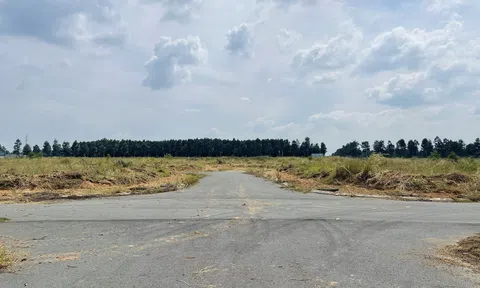 Bộ Tư pháp đề xuất xây dựng Luật thuế bất động sản