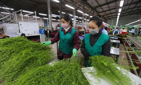 Lâm Đồng: Doanh nghiệp tăng tốc sản xuất ngay từ đầu năm