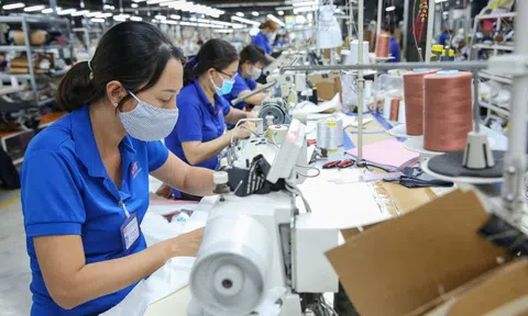 Dự báo thị trường dệt may sẽ sớm phục hồi