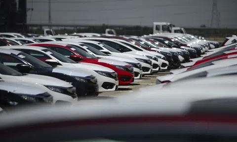 Hơn 14.000 ô tô được nhập về Việt Nam trong tháng 1/2023