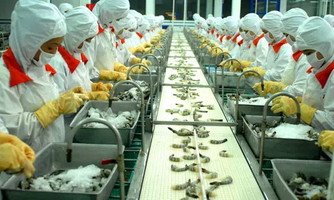 Nhu cầu tuyển dụng lao động ở các nhà máy tại Đồng bằng sông Cửu Long tăng cao