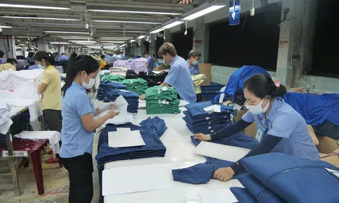 Hỗ trợ tiền mặt cho người lao động giảm giờ làm, mất việc tại TP.HCM