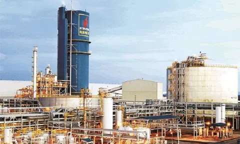 Đạm Phú Mỹ sẽ chi tạm ứng cổ tức năm 2022 đợt 1 vào cuối tháng 3/2023