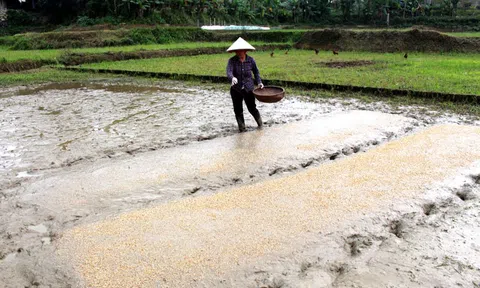 Bắc Kạn: Nông dân chủ quan về thời vụ sản xuất nông nghiệp