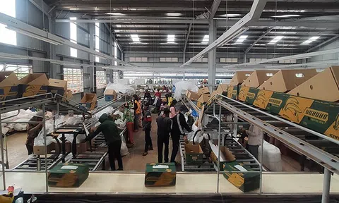 Doanh nghiệp Việt Nam tại Campuchia tăng cường hợp tác phát triển