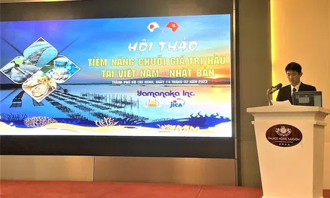 JICA đồng hành, hỗ trợ phát triển nghề nuôi hàu tại Việt Nam