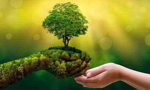 Việt Nam có đủ tiềm năng để phát triển theo hướng tăng trưởng xanh